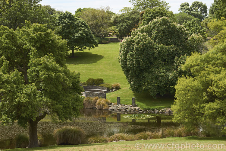 A scene at Timaru Botanic Gardens, Canterbury, New Zealand.