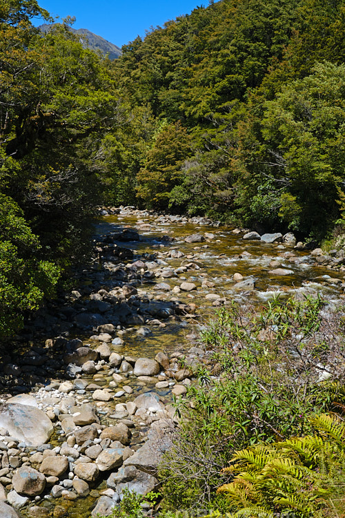 The Inangahua River near it's eastern end where it runs along the northern side of State Highway 7, the Lewis Pass road, New Zealand. The Inangahua originates in the mountains not far from this point and runs northwestwards until it enters the Buller River near Inangahua.