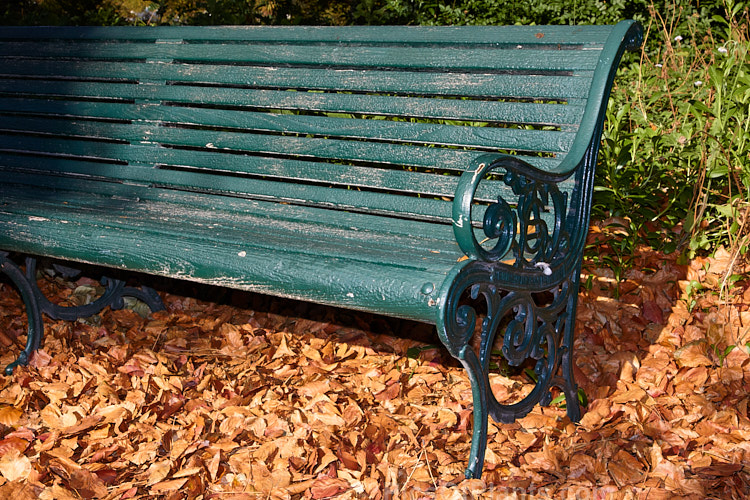 A park bench surrounded by fallen and dried autumn leaves.