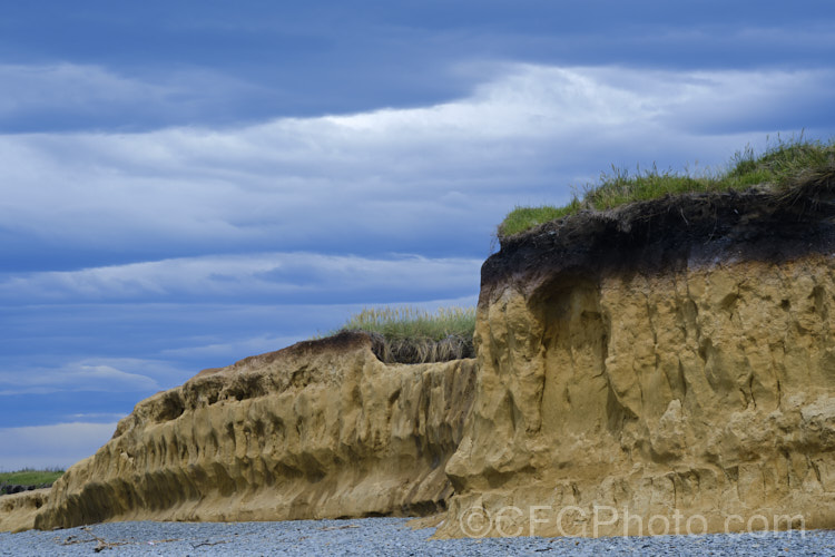 This thick layer of yellowish loess is common in South Canterbury, New Zealand As seen here, the darker layer of topsoil is quite thin, which can severely limit the depth to which roots development, as the loess is often dense, anaerobic and difficult for roots to penetrate, especially where it combines with the thick grey clay often found in the same areas. soil-scenes-3712htm'>Soils and Soil. Related. Scenes</a>