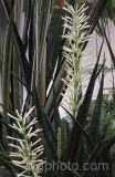 CAC0021.jpg 67852