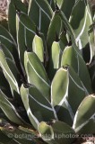 CAC0027.jpg 54497