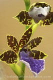 CFG0132.jpg 68654