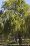 CFG3858.jpg 63187