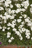 CFG3876.jpg 65803