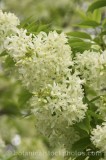 CFG4049.jpg 68226
