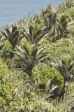 CFG4671.jpg 68771