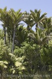CFG4672.jpg 68772