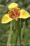 CFG4901.jpg 71524
