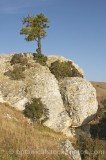 CFG5012.jpg 59966