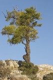 CFG5013.jpg 59967