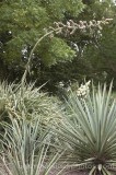 CFG5257.jpg 60546