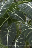 CFG5508.jpg 62158