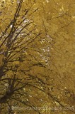 CFG5604.jpg 64847