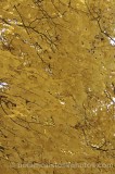 CFG5606.jpg 64849