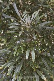 CFG5793.jpg 67957