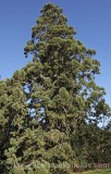 CFG5808.jpg 68111