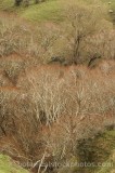 CFG5823.jpg 63168