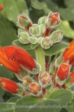 CFG5956.jpg 74059