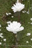 CFG6455.jpg 73858