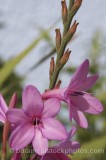 CFG7120.jpg 66177