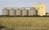 CFG7182.jpg 64556