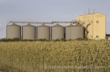 CFG7183.jpg 64557