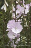 CFG7260.jpg 74040