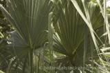CFG7731.jpg 64765