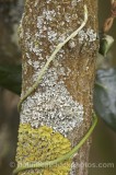 CFG7953.jpg 65033