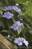 CFG8357.jpg 64823