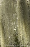CFG8509.jpg 71532