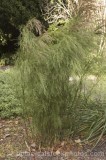 CFG8544.jpg 69012