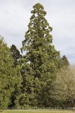 CFG8546.jpg 68110