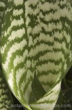 CFG8627.jpg 67859