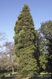 CFG8631.jpg 68104
