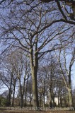 CFG8653.jpg 33504