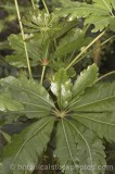 CFG8683.jpg 67958