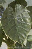 CFG8685.jpg 63956