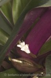 CFG8755.jpg 74372