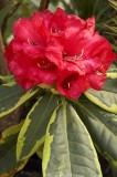 CFG8795.jpg 97406