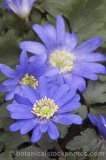CFG8894.jpg 61690