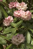 CFG8921.jpg 97248