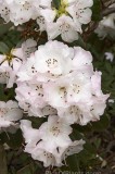 CFG8983.jpg 97451