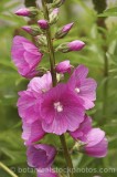CFG9557.jpg 74043