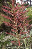 CFG9587.jpg 60559