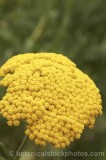 CFG9913.jpg 58582