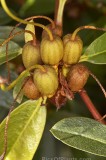 CFGa655.jpg 97553