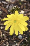 CFGa786.jpg 63994