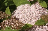 CFGai90.jpg 78395